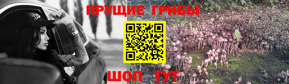 Псилоцибиновые грибы мухоморы  Вход с VPN  Биробиджан 